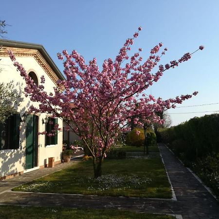 Casa Pianta Hotel Cavallino-Treporti Exterior photo